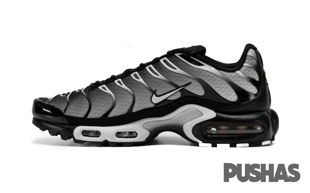 Air Max Plus TN 'Black Metallic Silver' (2022)