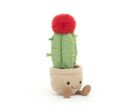 Amuseable Moon Cactus