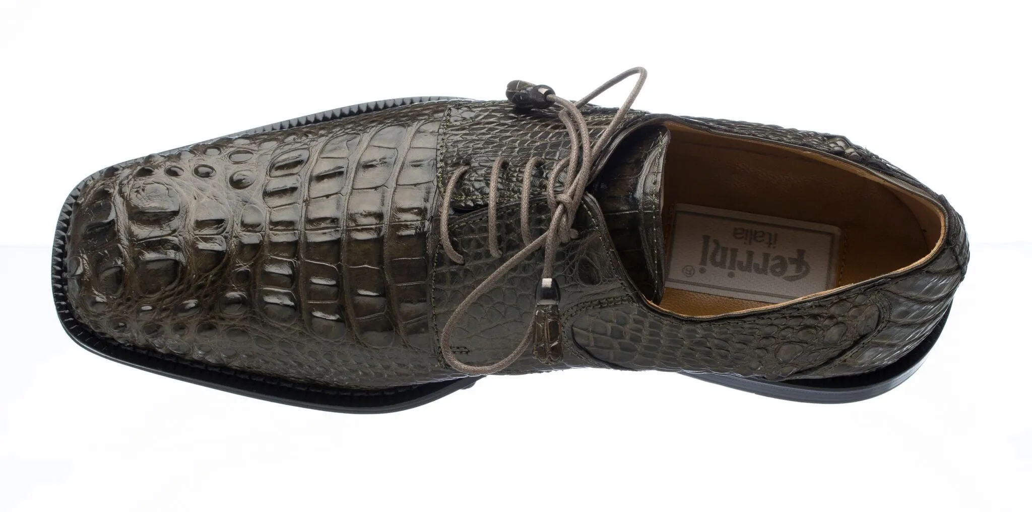 Ferrini 228 Alligator Hornback